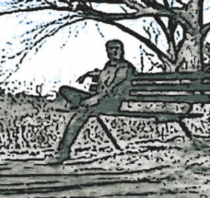 BCook Bench